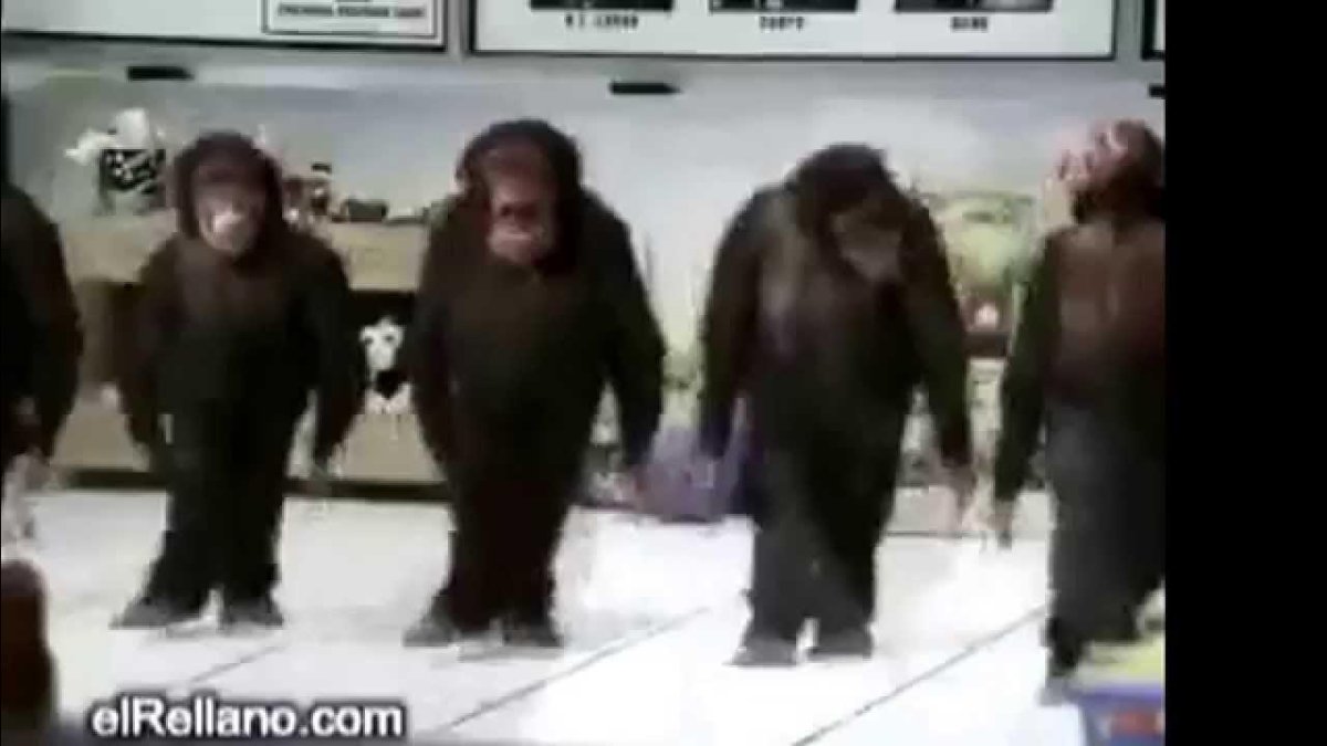 Обезьяна танцует лезгинку