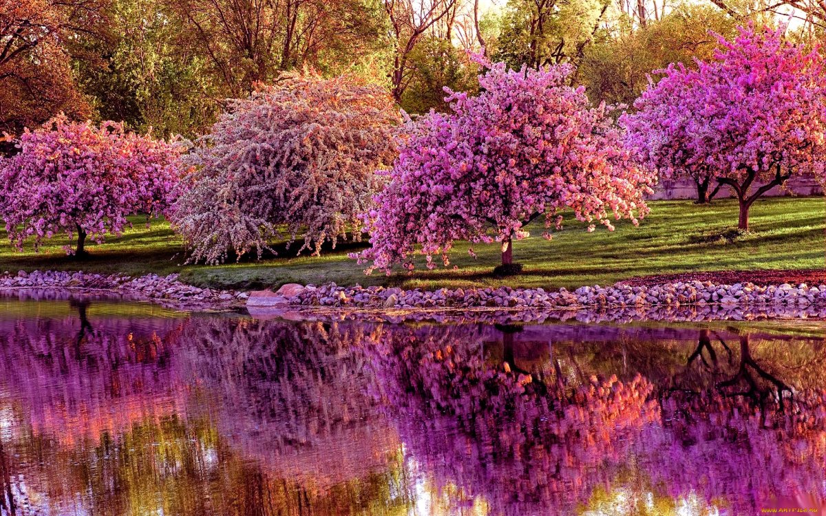 Весенний сад (Spring Topiary Garden)