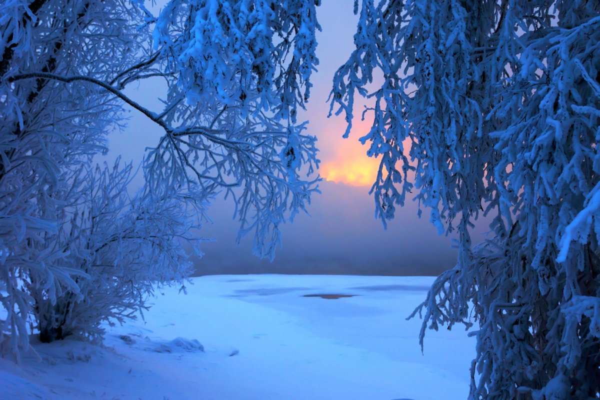 Доброе морозное утро