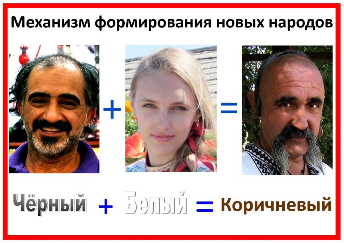 Украинцы раса