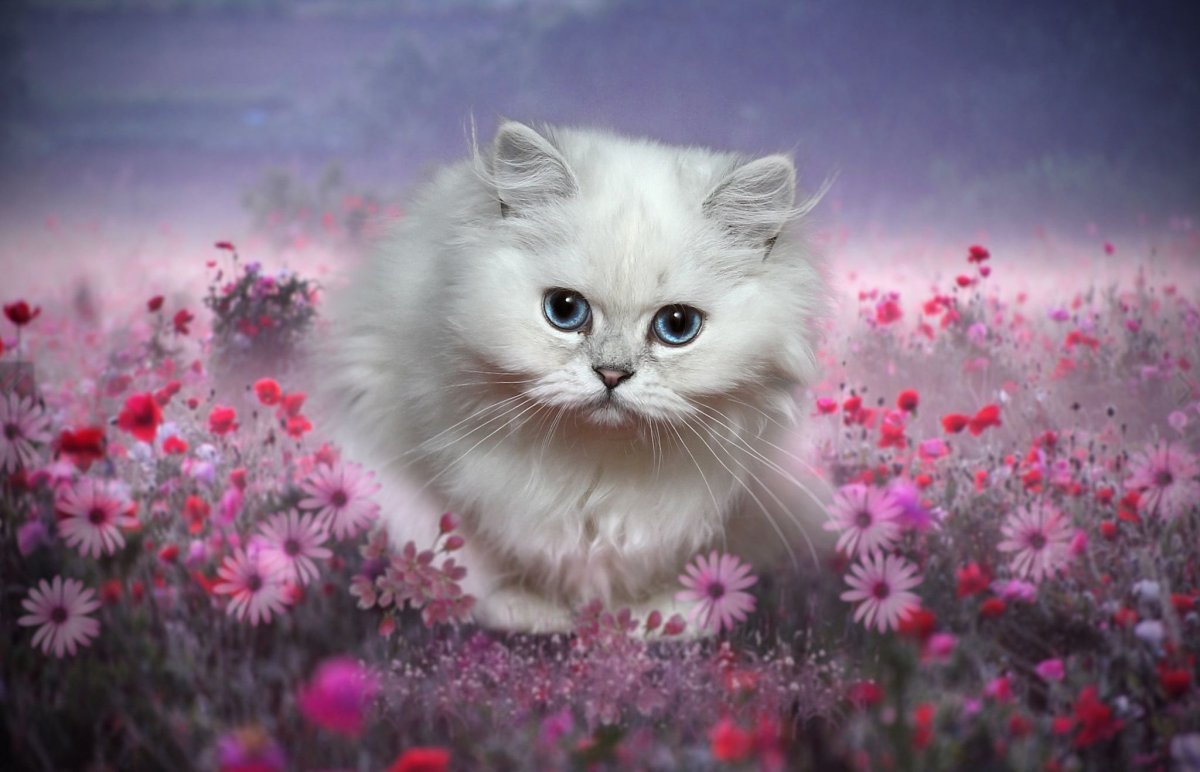Милые котята с цветами