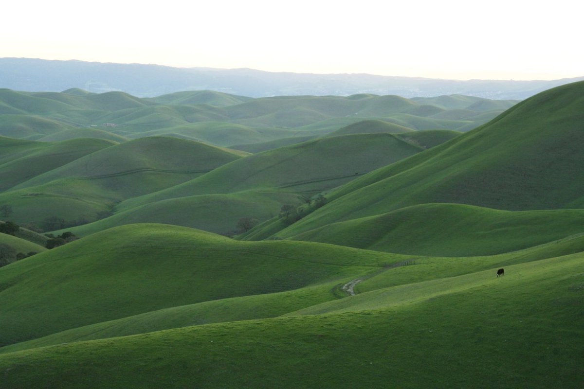 Rolling Hills Ireland