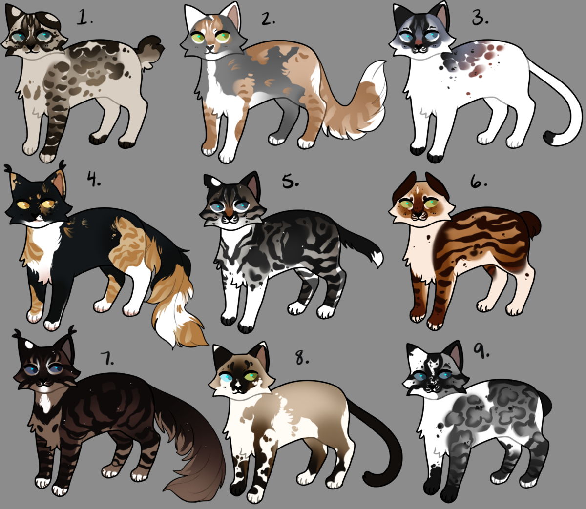 Коты Воители окрасы