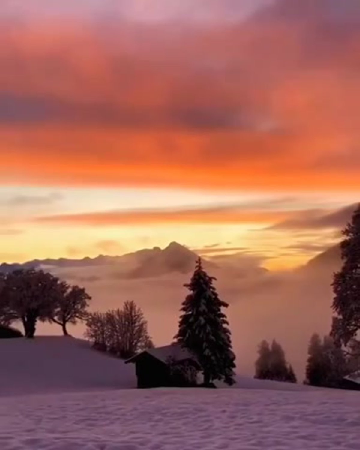 Winter aesthetic
