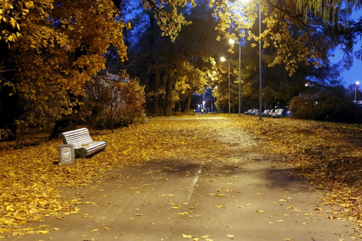 Вечерний осенний парк