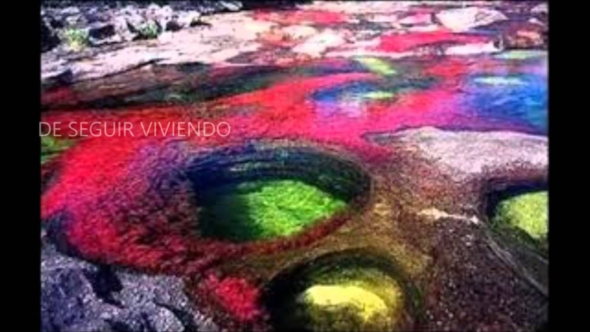 Канио кристаликс река