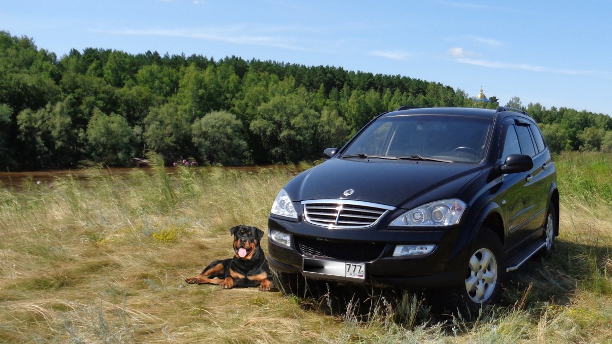 SSANGYONG Kyron рамный
