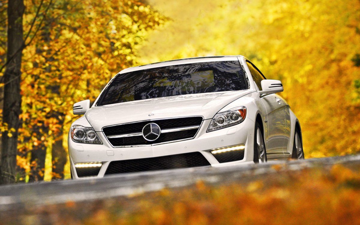 Мерседес осень AMG 63