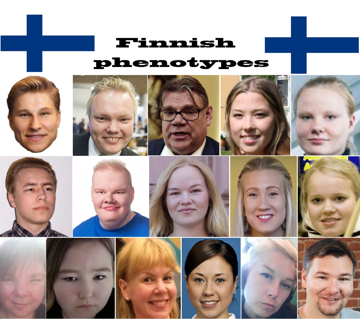 Финно-угры фенотип