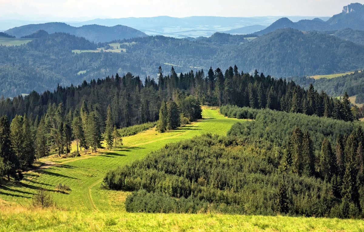 Лесистые Карпаты