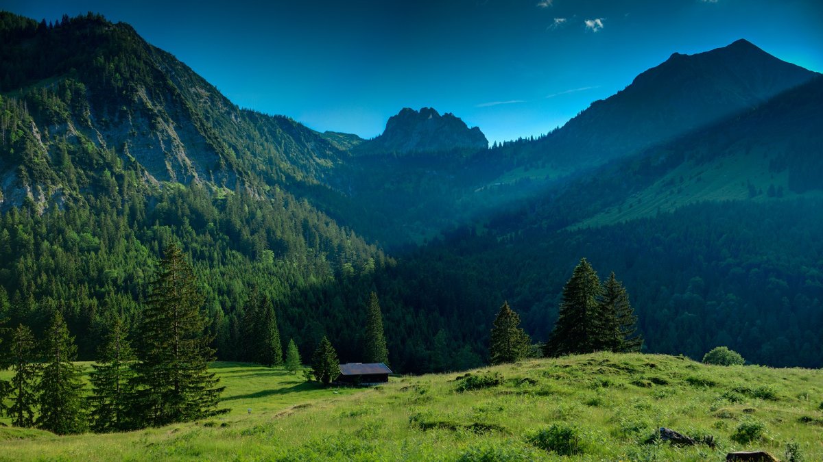 Природа горы лес