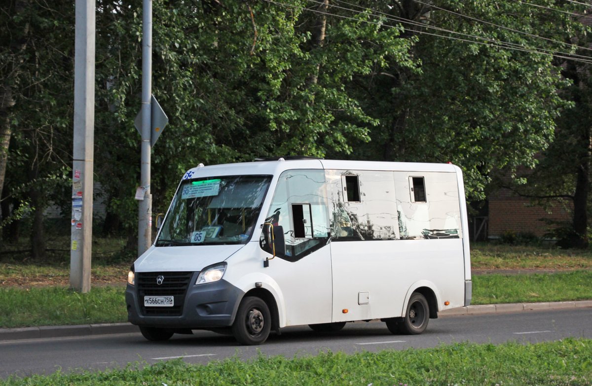 Луидор 225019