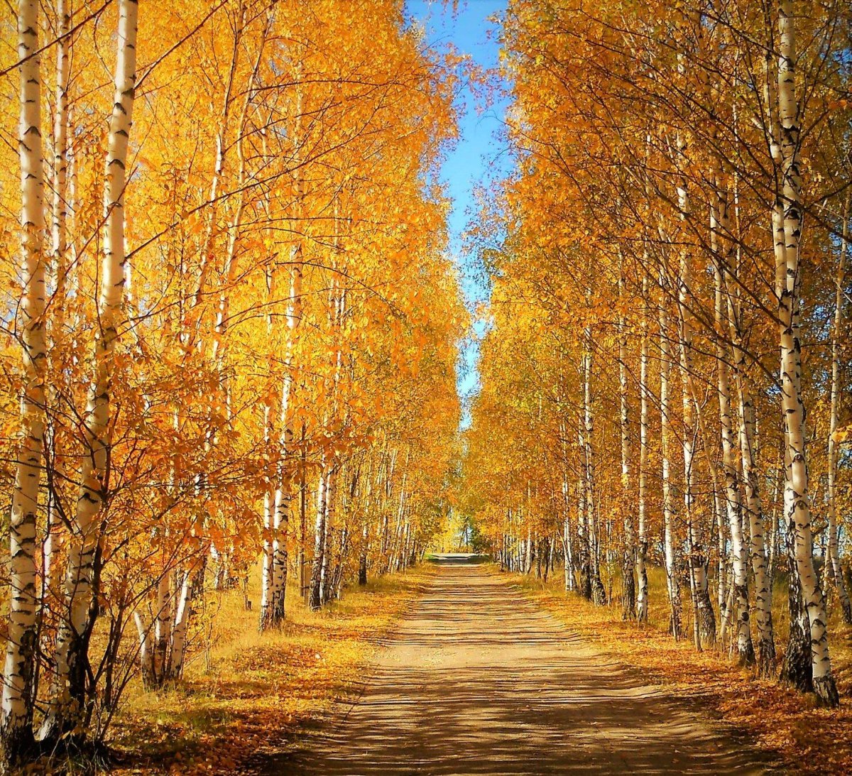 Золотая роща