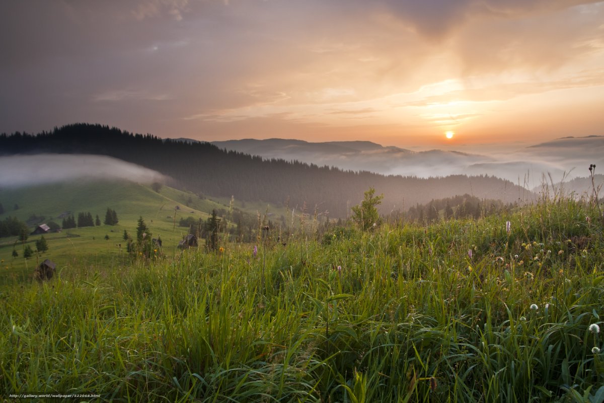 Буковина природа