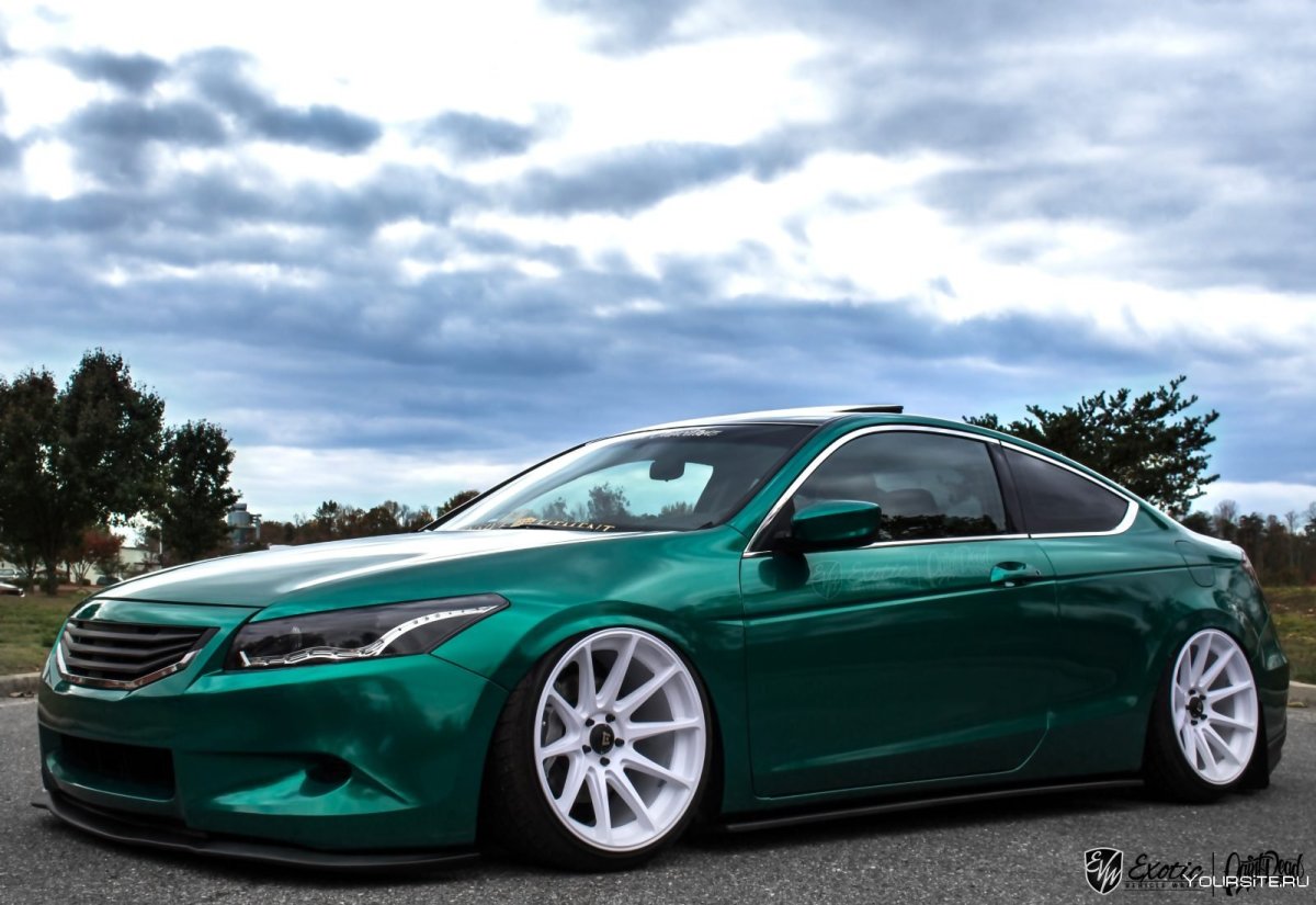 Avery Pearl Dark Green