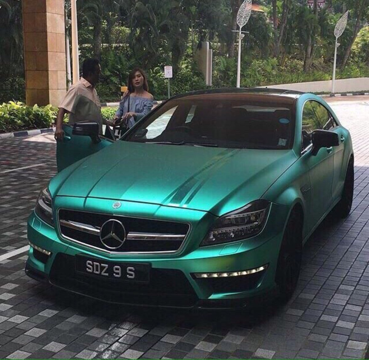 Luxury Green Color