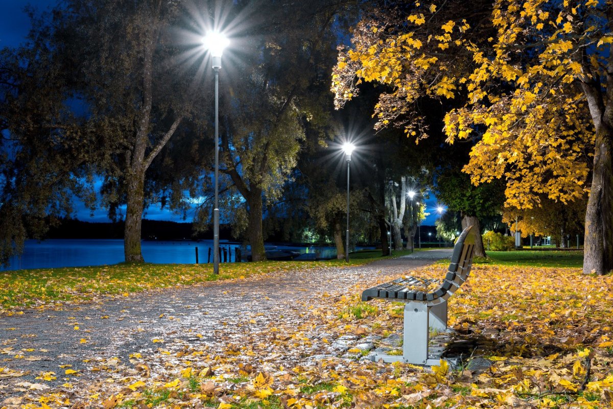Осенний парк вечером