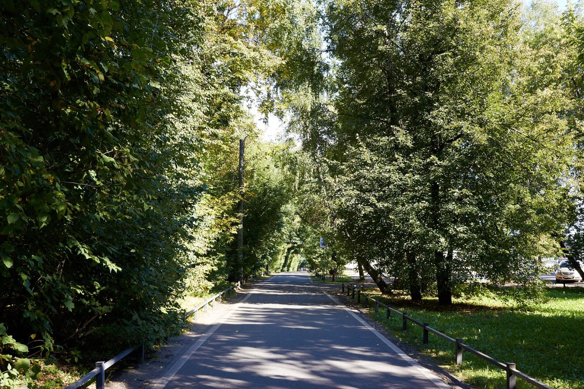 Тополевая аллея