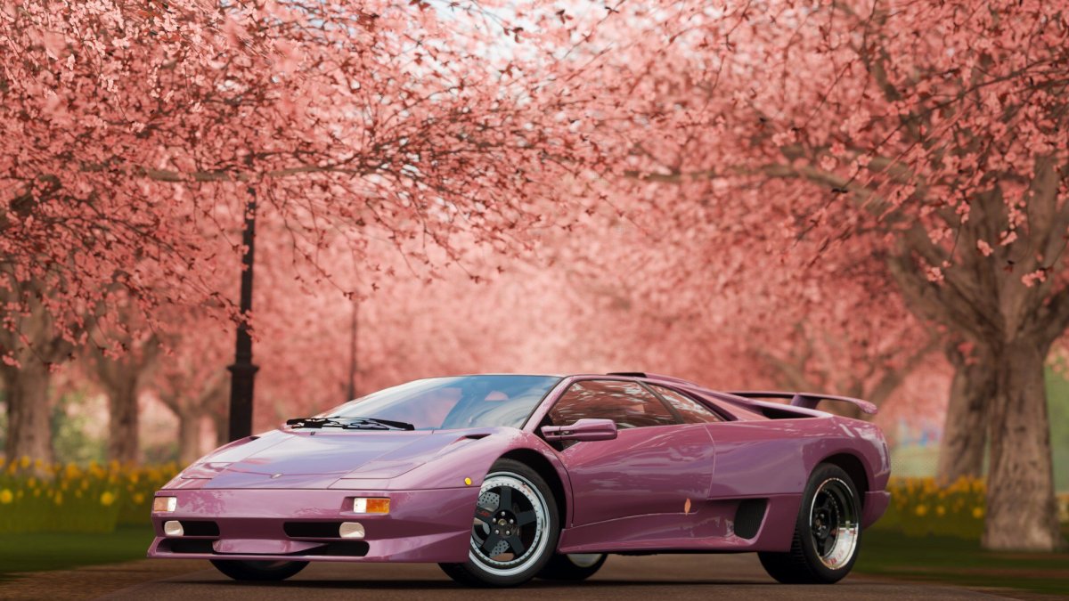 Toyota Supra Blossom
