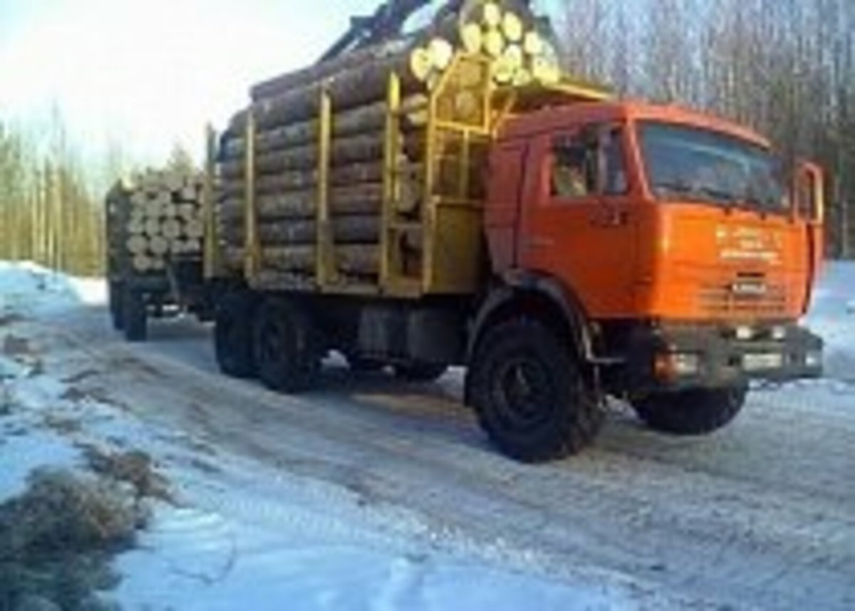 КАМАЗ 43114 лесовоз