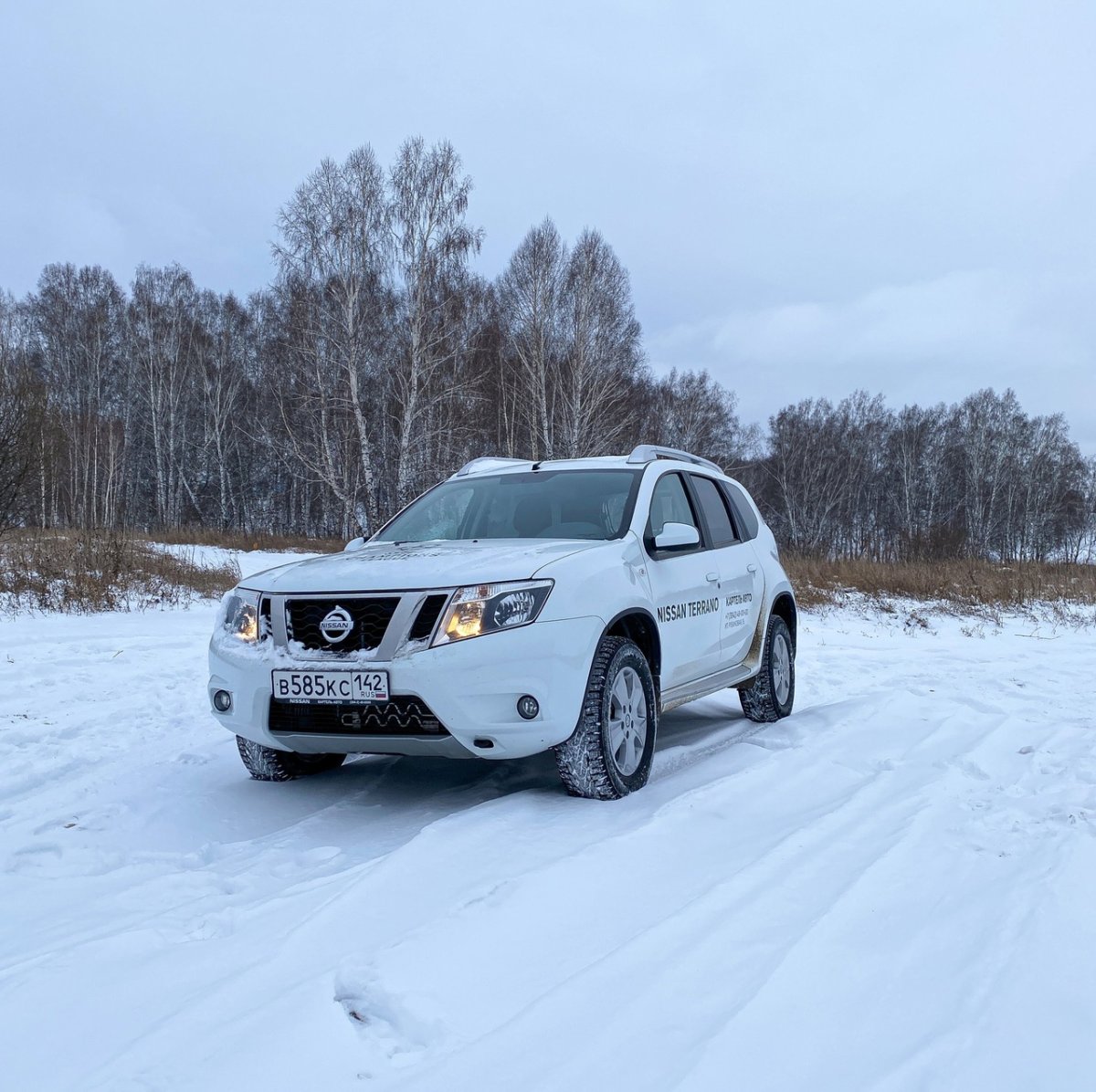 Ниссан Картель авто