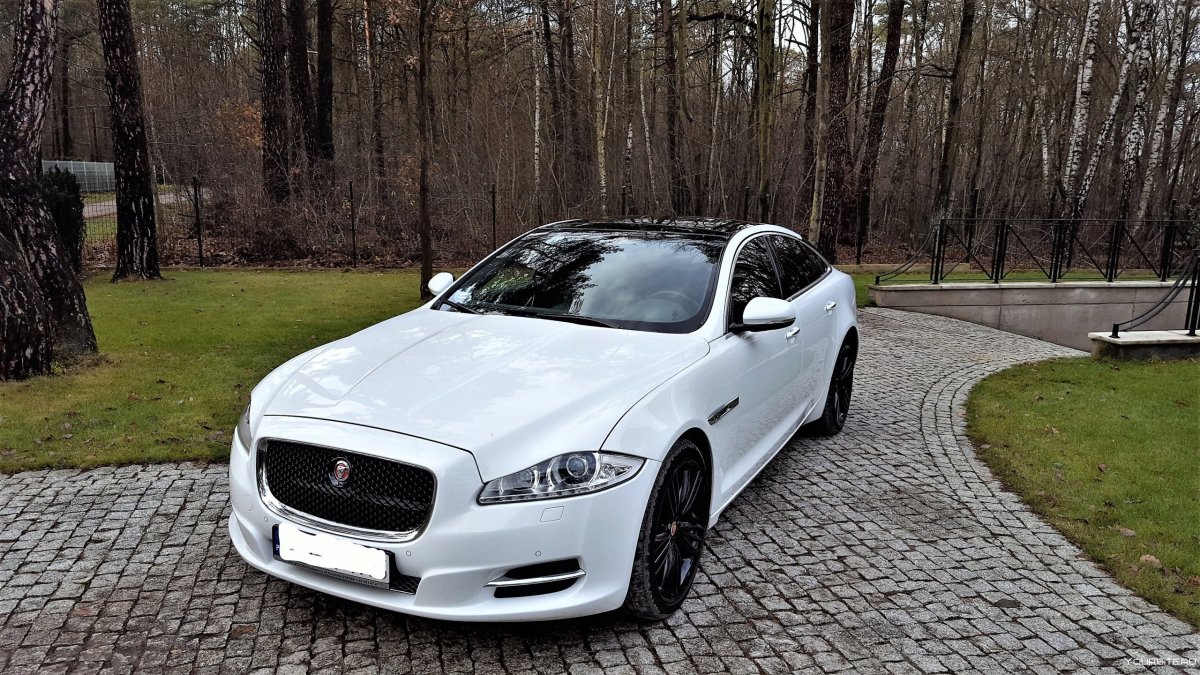 Jaguar XJ 2010 белый