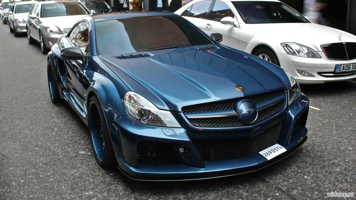 Sl65 Fab