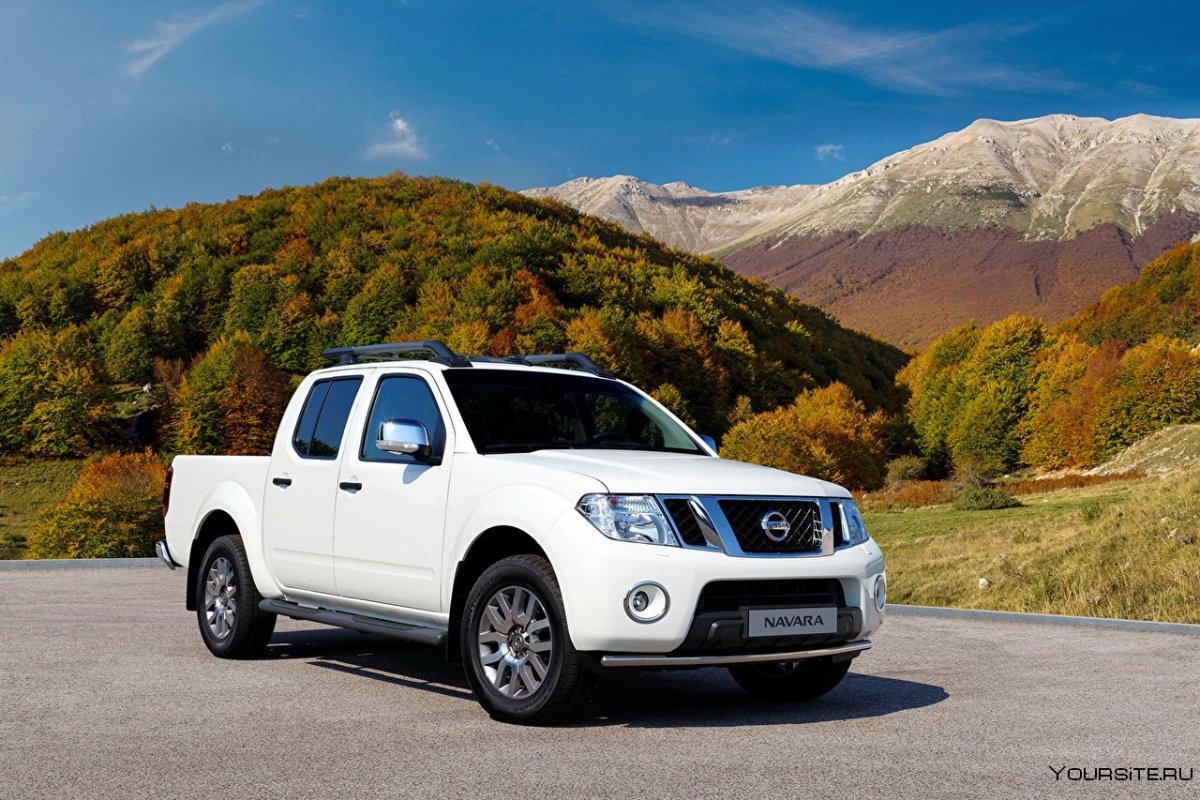 Nissan Navara 1