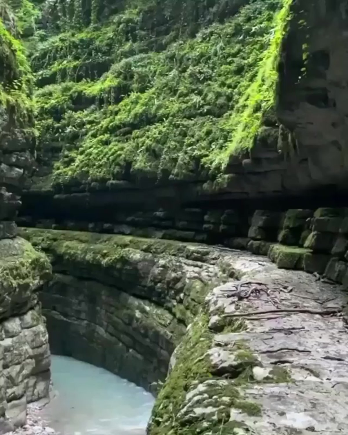 Абхазия Цандрипш каньон Хашупсе