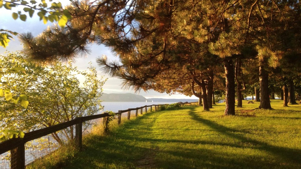 Море парк