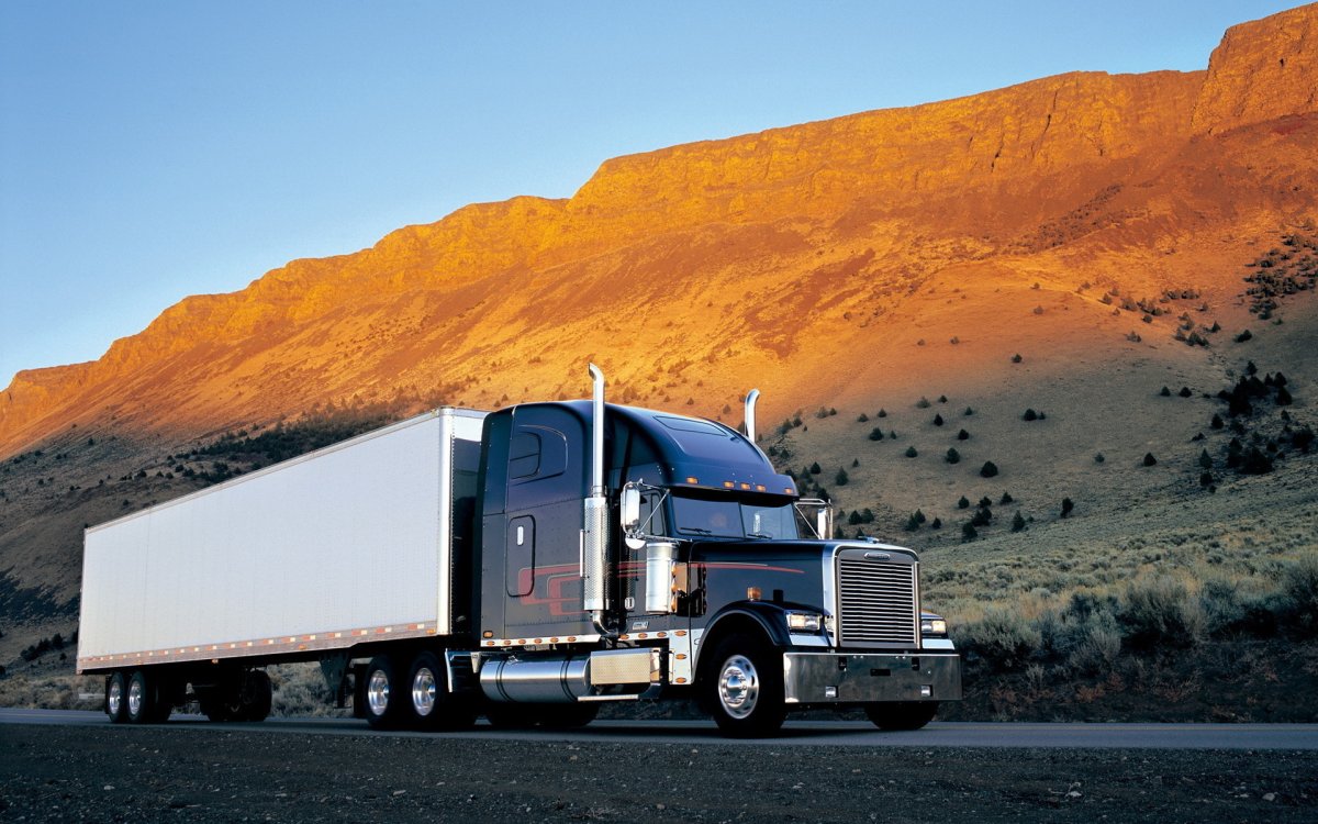 Freightliner FLD 120 одноногий