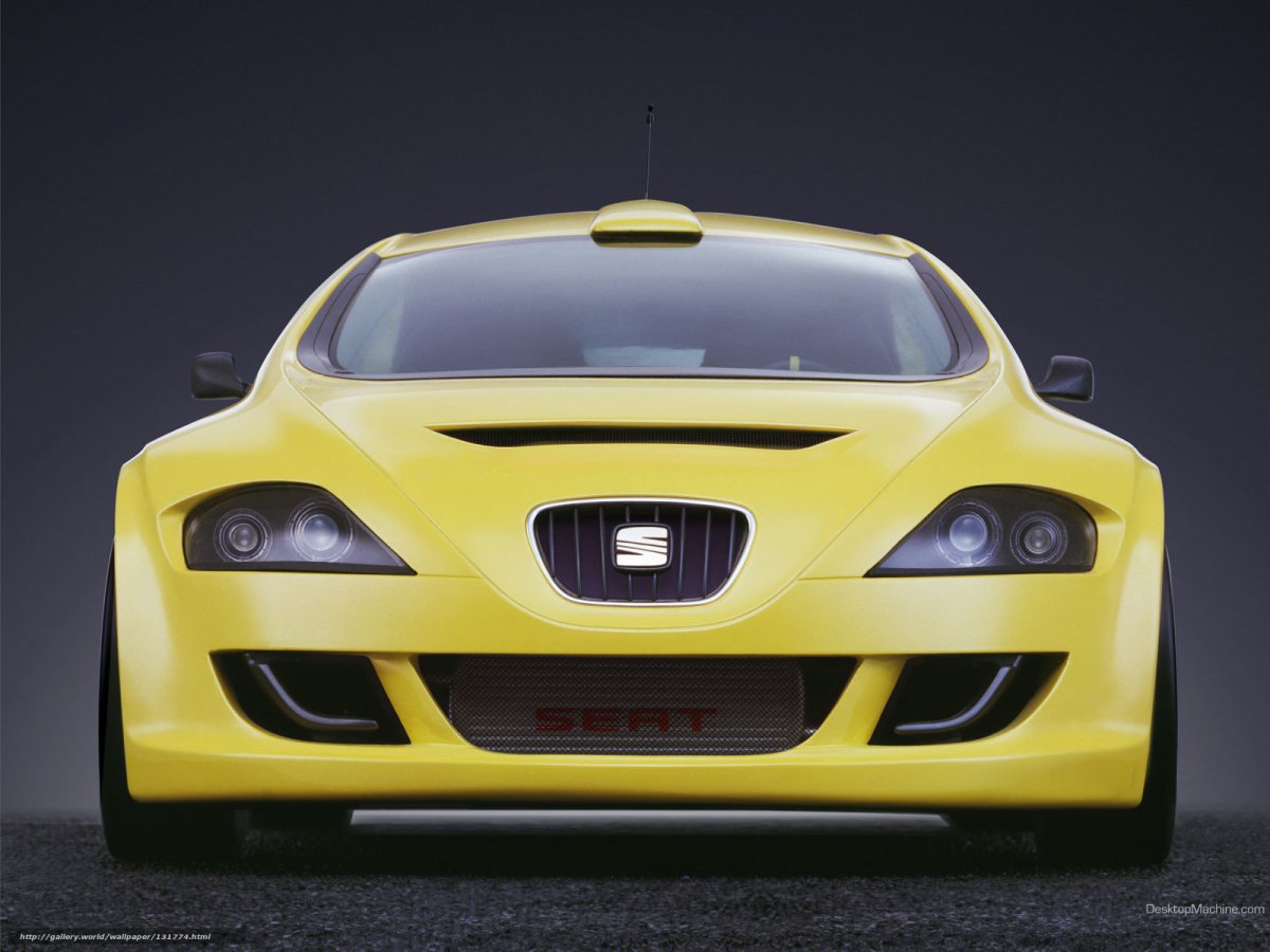Seat sportcar