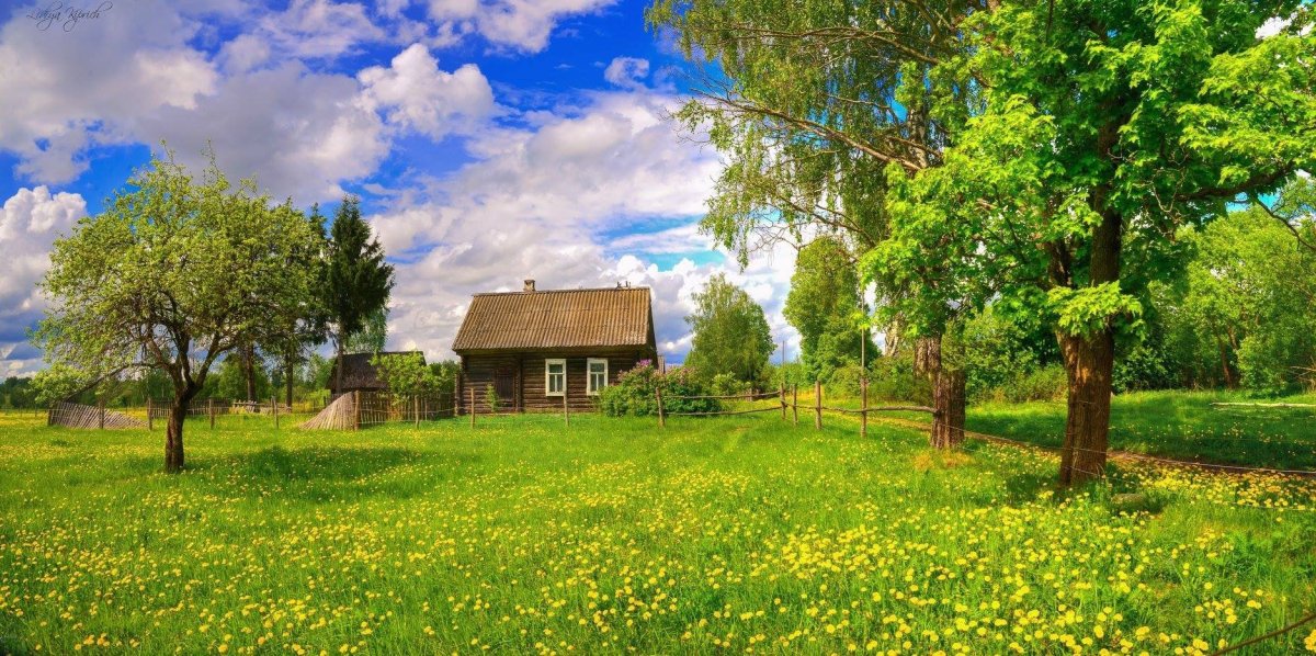 Солнечный день в деревне