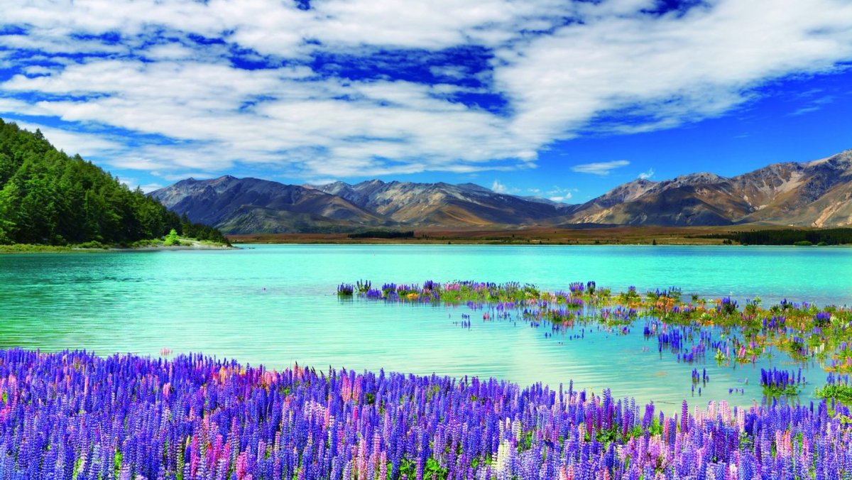 Lake Tekapo, новая Зеландия