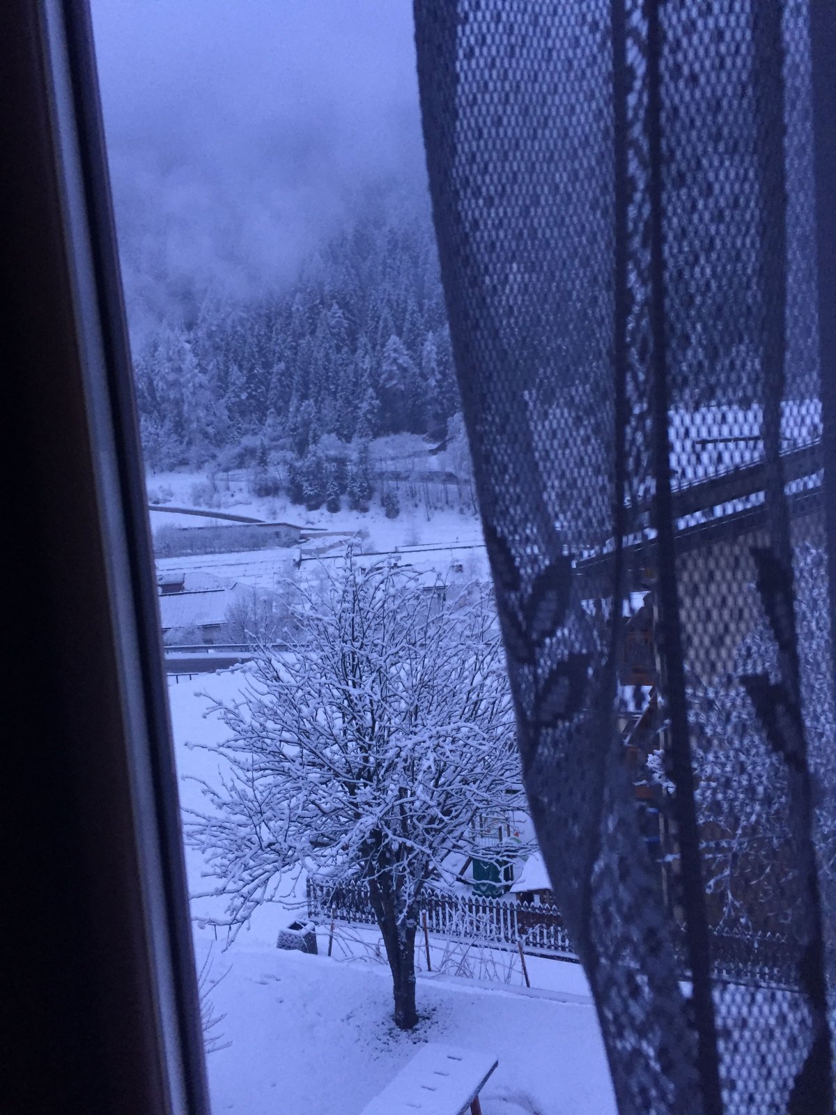 Окно с зимним видом