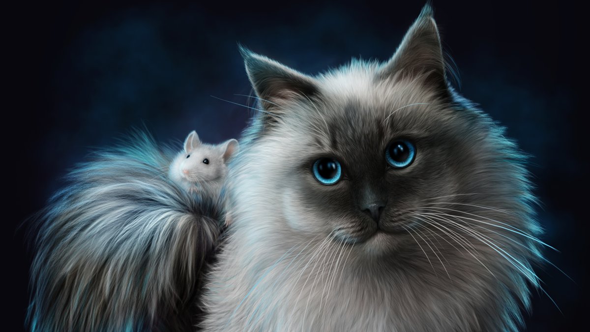 Фэнтези котики обои