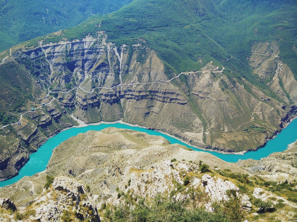 Дубки Дагестан каньон