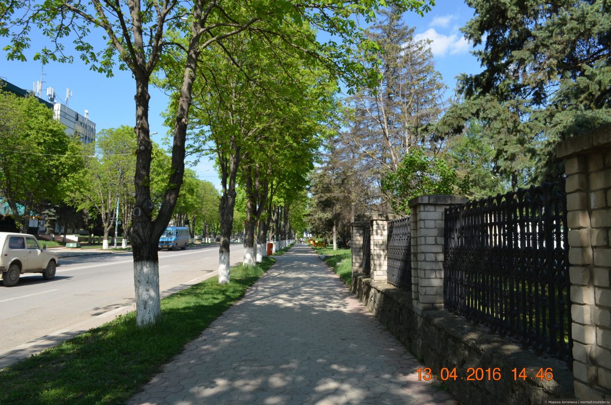 Аллея каштанов в городе Унгены