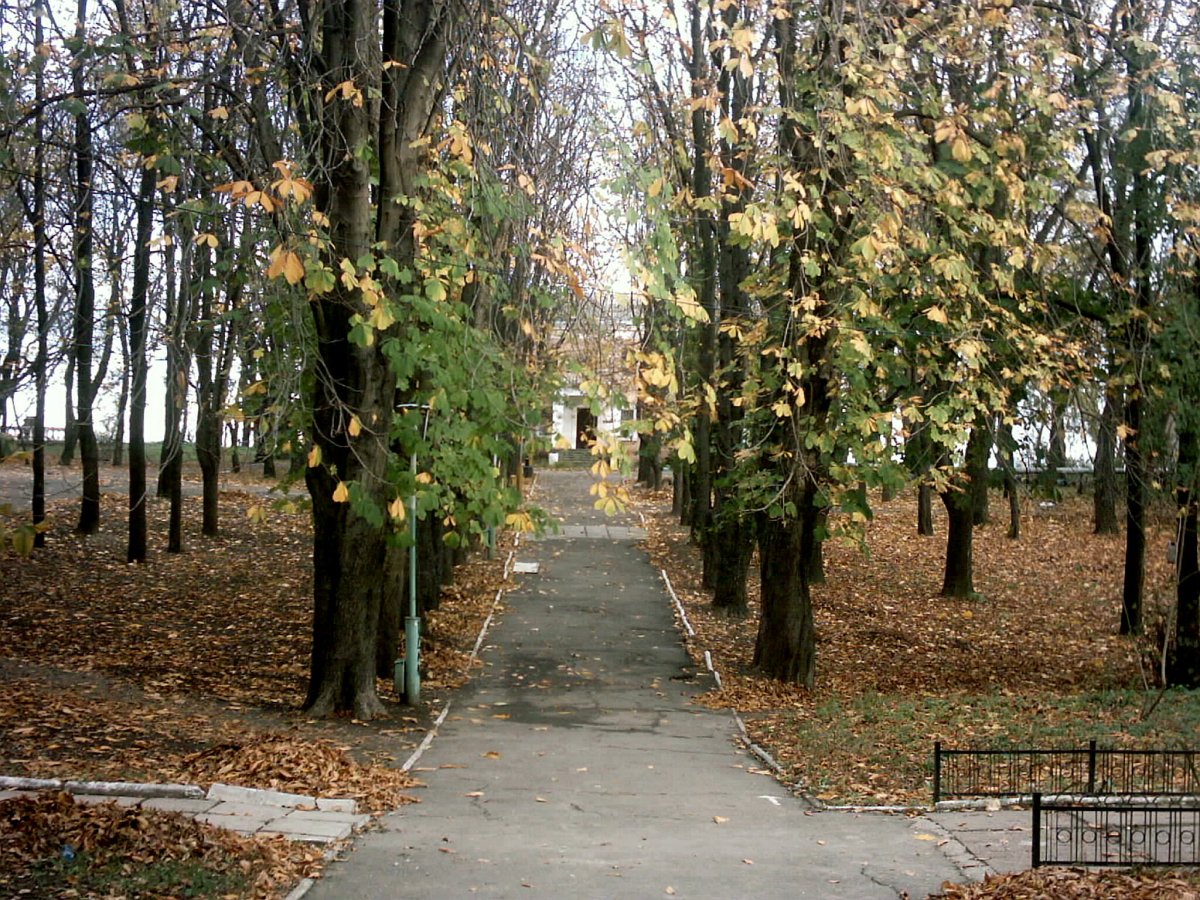 Аллея каштанов в Фалештах