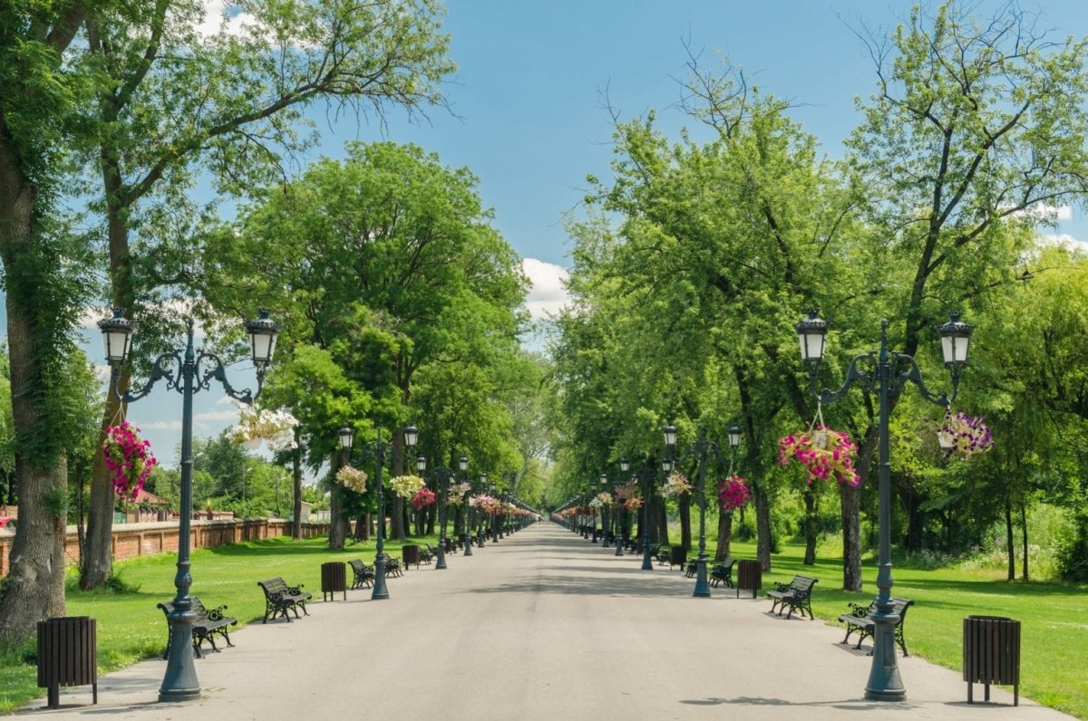 Городская аллея
