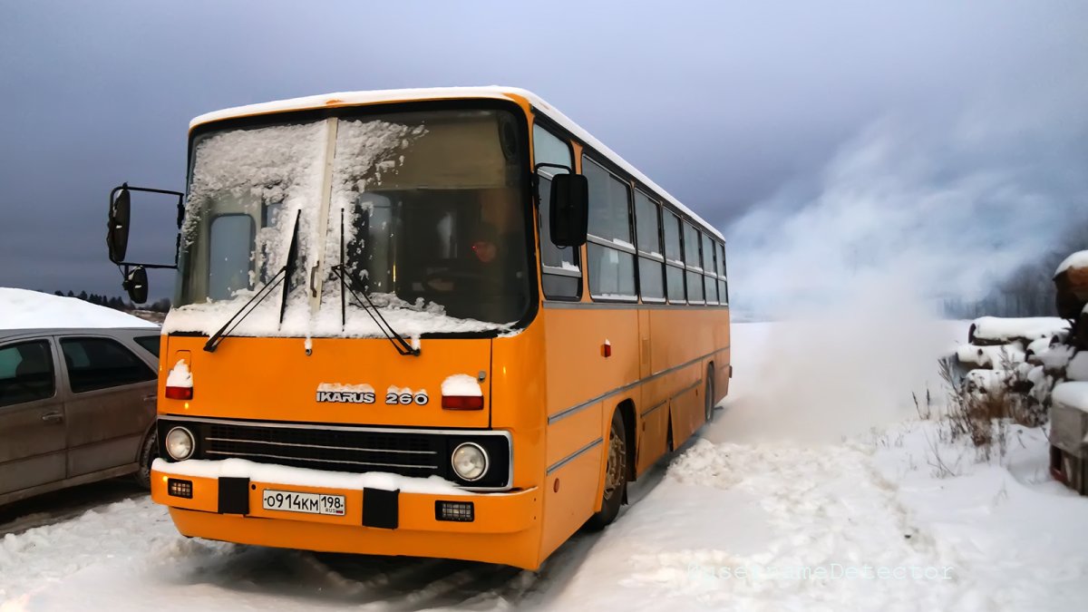 Икарус 480