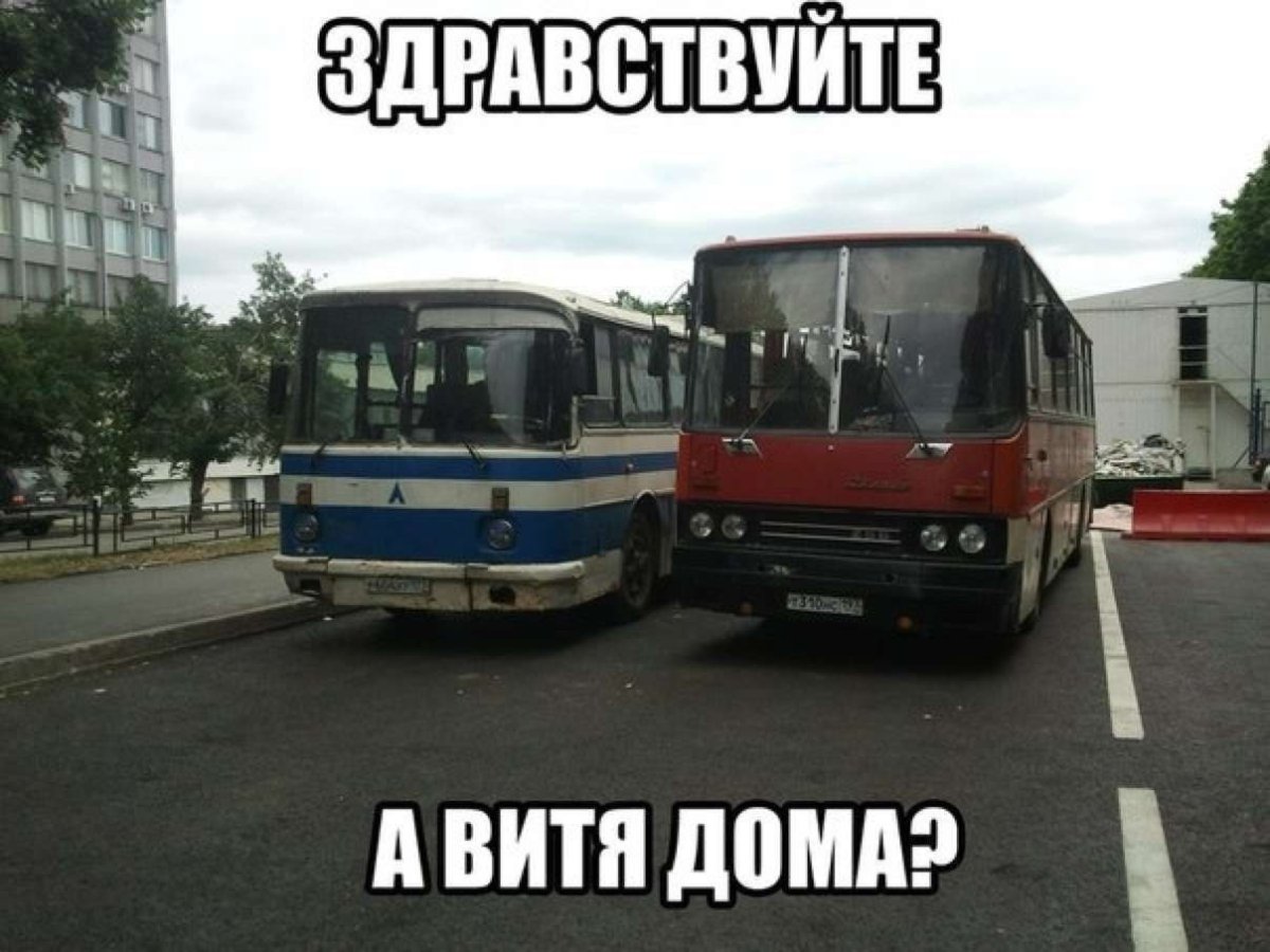 Икарус 250 Цой