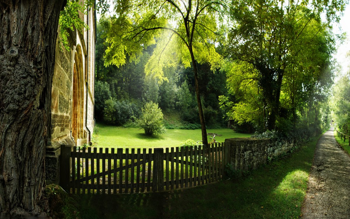 Природа зелень