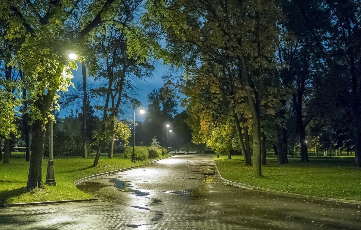 Улицы Санкт Петербурга парк