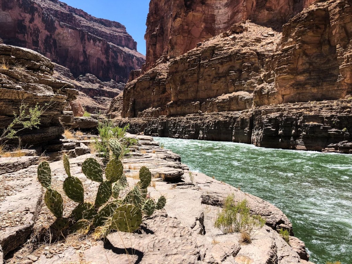 Артикул bottom Canyon >>>