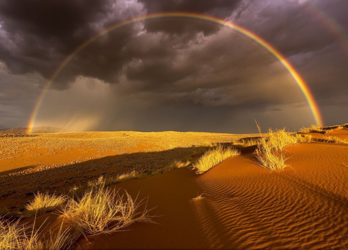 Пустыня National Geographic