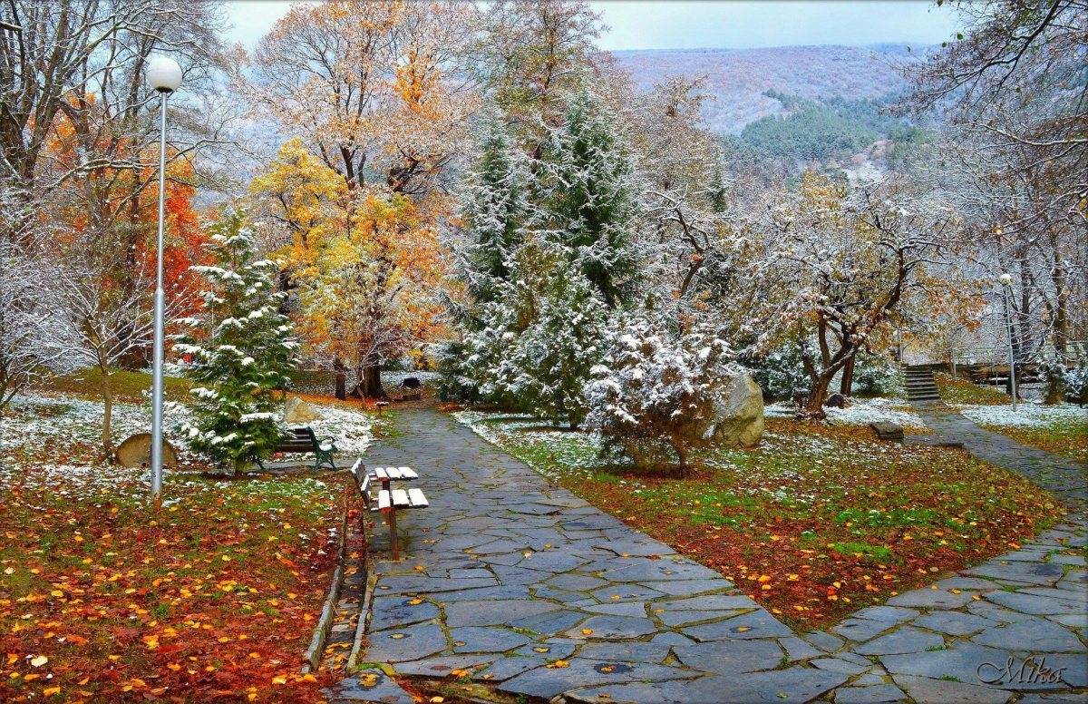 Первый снег в саду