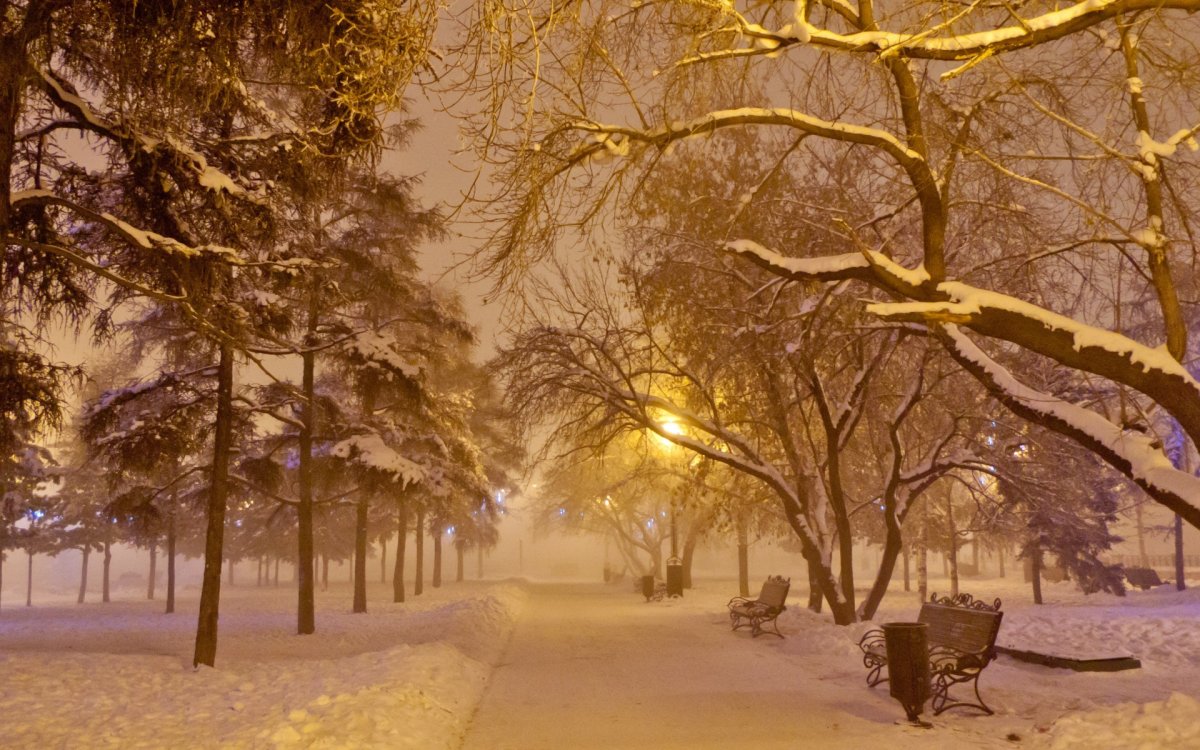 Зимняя аллея
