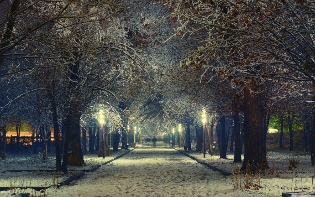 Зимняя аллея в парке