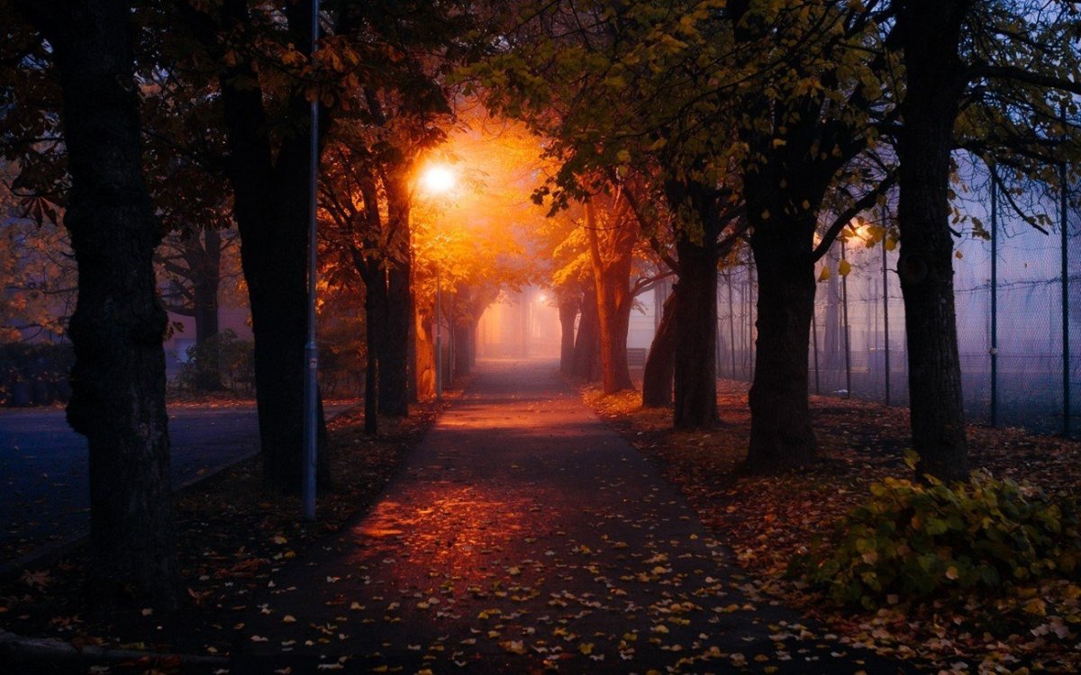 Осенний парк ночью